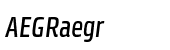 Klint&reg; Pro Medium Condensed Italic