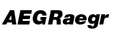 Neue Helvetica&reg; Pro W1G 96 Black Italic