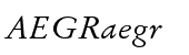 Stempel Garamond&trade; Std Italic