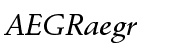 Stempel Schneidler&reg; Std Medium Italic
