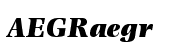 Photina&reg; Ultra Bold Italic