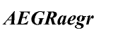 Times New Roman&reg; CE Bold Italic