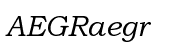 Bookman Old Style&trade; WGL Italic