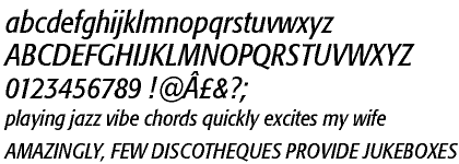 Formata&reg; Pro+ Condensed Italic WGL