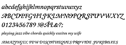 Latienne Swash CE Medium Italic