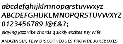 Linotype Ergo&trade; Com Medium Italic