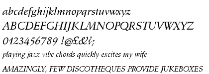 Schneidler Medium Italic