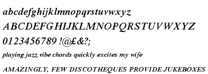 Times New Roman&reg; Pro Semi Bold Italic