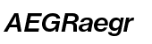 Neue Haas Grotesk Pro Text CFF 66 Medium Italic