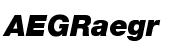Neue Helvetica&trade; 96 Black Italic