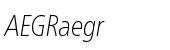 Neue Frutiger&reg; Pro Condensed Thin Italic