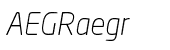 Neo&reg; Sans Light Italic