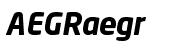 Neo&reg; Sans Pro Bold Italic