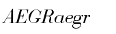 Bauer Bodoni Regular Italic (D)