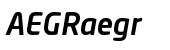 Neo&reg; Sans Pro Medium Italic