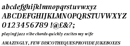 Ellington® Pro Bold Italic