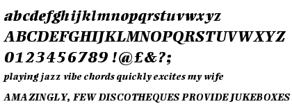 Ellington® Pro Extra Bold Italic