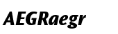 Ocean Sans&reg; Extra Bold Italic