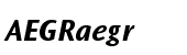 Ocean Sans&reg; Pro Bold Italic