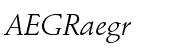 Stempel Schneidler&reg; Std Italic