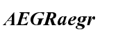 Times New Roman&reg; Bold Italic ESQ