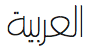 PF Din Text Arabic Hairline
