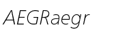 Neue Frutiger&reg; W1G Thin Italic