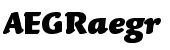 Linotype Syntax&reg; Letter Com Black Italic
