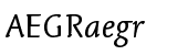 Linotype Syntax&trade; Letter Regular Italic