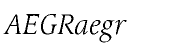 Linotype Syntax&trade; Serif Light Italic OsF