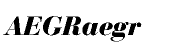 Bauer Bodoni CE Bold Italic (D)