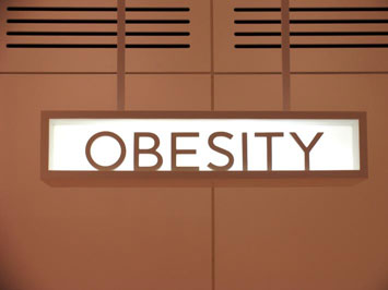 obesity_355