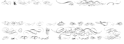 Calligraphia Latina Soft Four