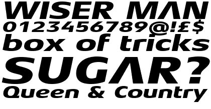 Aeonis&trade; Pro Extended Heavy Italic