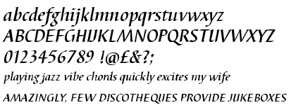 Barbedor Medium Italic
