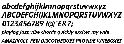 Evo&reg; Pro Medium Italic