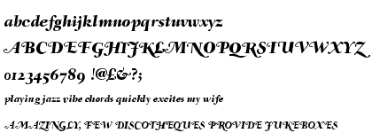 Fairfield&trade; 86 Swash Heavy Italic OsF