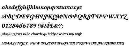 Latienne Swash Alternative CE Bold Italic