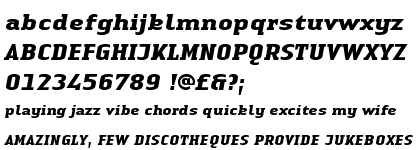 Linotype Authentic&trade; Serif Bold Italic