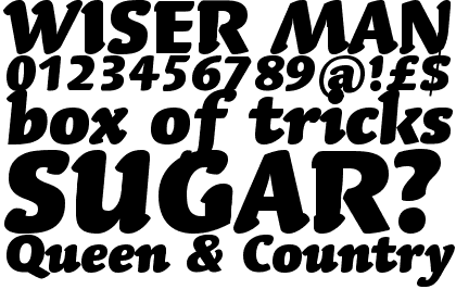 Linotype Syntax&reg; Letter Com Black Italic