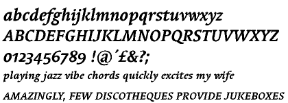 Linotype Syntax&trade; Serif Bold Italic OsF