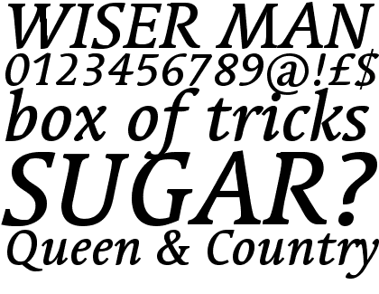 Linotype Syntax&reg; Serif Com Medium Italic