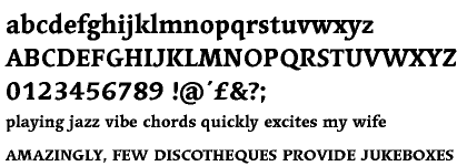 Linotype Syntax&trade; Serif Heavy
