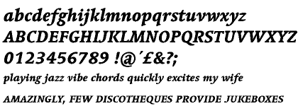 Linotype Syntax&trade; Serif Heavy Italic