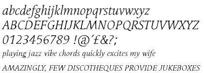 Linotype Syntax&trade; Serif Light Italic