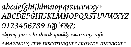 Linotype Syntax&trade; Serif Medium Italic