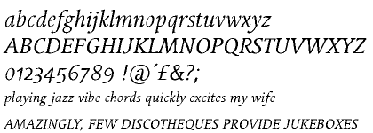 Linotype Syntax&trade; Serif Regular Italic OsF