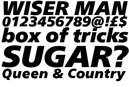 Neue Frutiger&reg; W1G Extra Black Italic