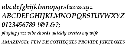 Palatino&trade; Central European Bold Italic