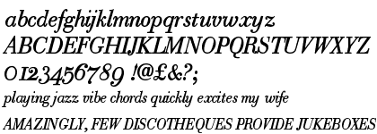 Robusta Roman Italic